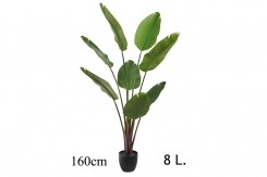 007 veštačke sobne banane